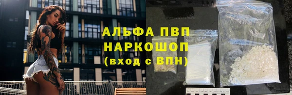 стаф Новокубанск