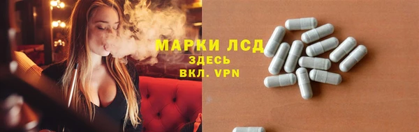 стаф Новокубанск