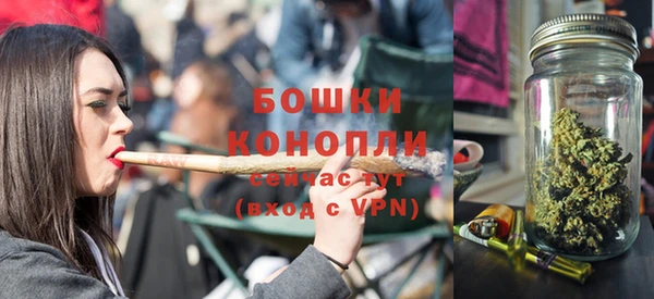 твердый Новозыбков