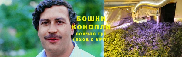 молекула духа Новодвинск