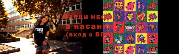 стаф Новокубанск