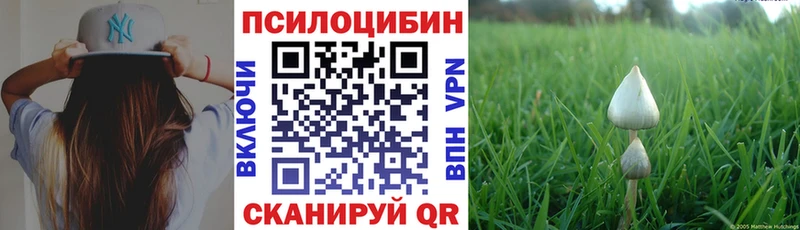 Псилоцибиновые грибы Cubensis Копейск