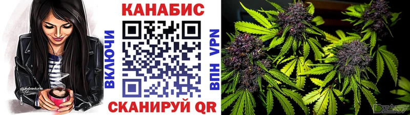 Канабис план  Купить где  Копейск 